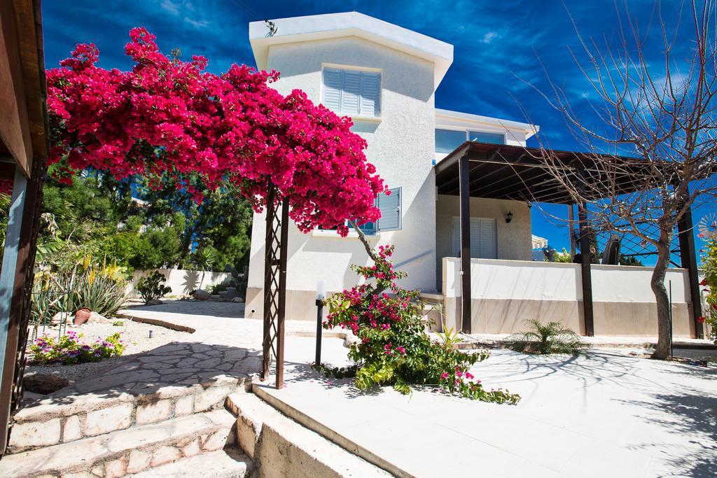 Merab Center Villas Айя-Напа Екстер'єр фото